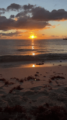 Vertical Cable Debuts at ISE EXPO 2025 – Booth #735 2 beach sunset Vertical Cable Debuts at ISE EXPO 2025 – Booth #735